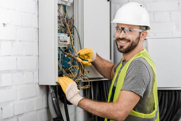 Best Electrical System Inspection  in Coleman, MI